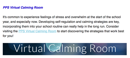 Virtual Calming Room 